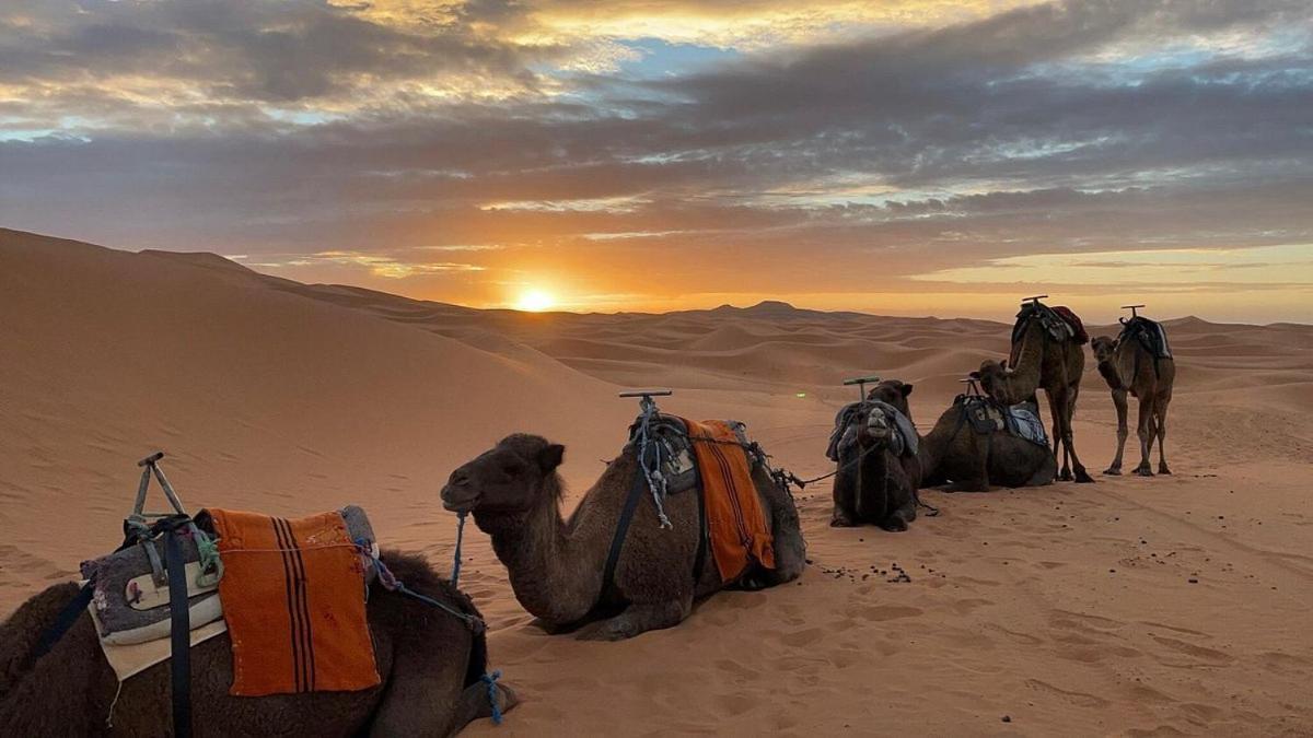 Chegaga Desert Trips Мхамид Екстериор снимка